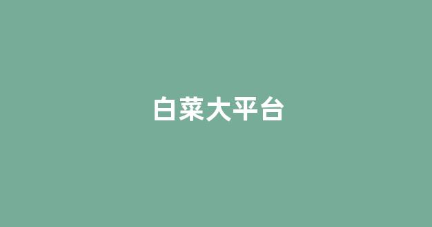 白菜导航站